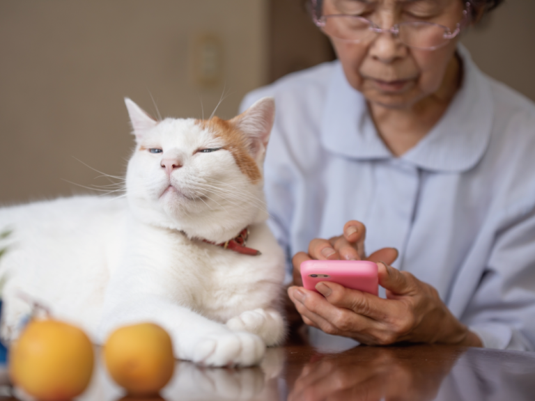 90歳以上の方も利用中。簡単さにこだわったテレビ電話